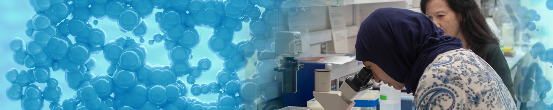 A student works in a lab
