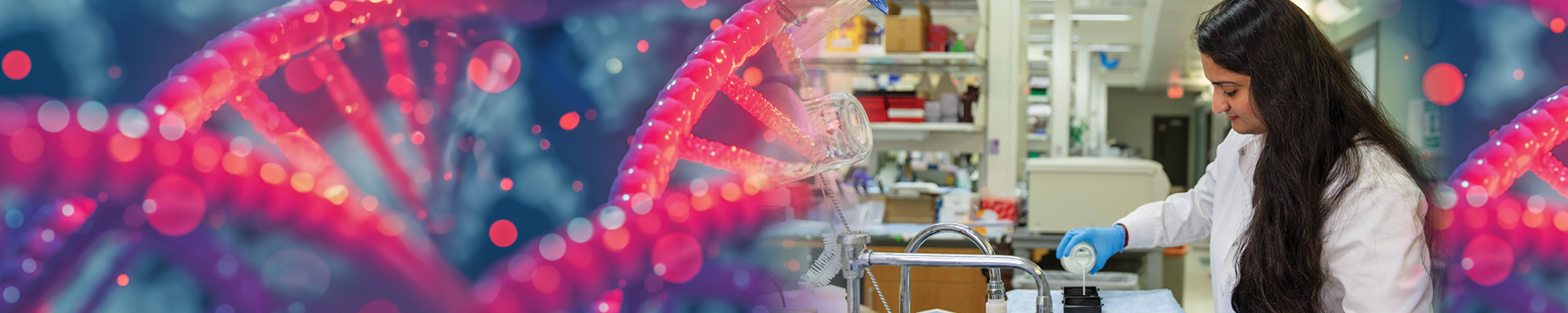 A genetics student works in a lab