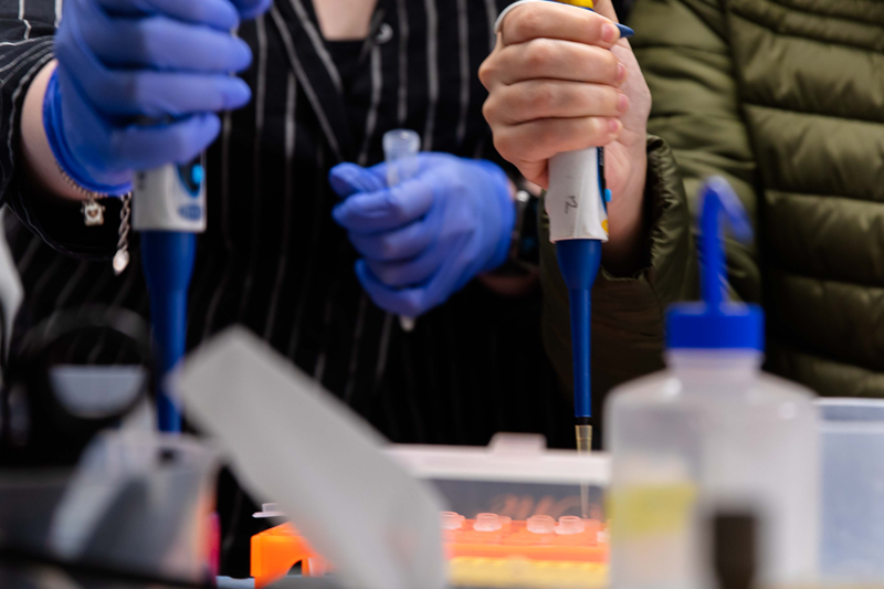 Students working with test tubes