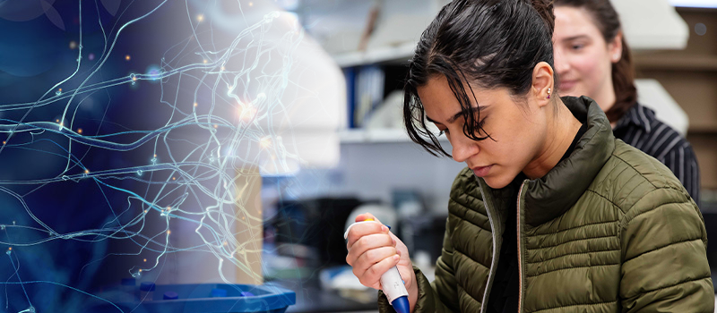 Student in Ph.D. program performing experiment