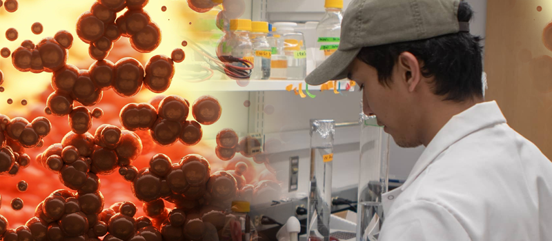Masters student working on project